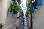 PICTURES/Cordoba - Street Scenes/t_DSC00572.JPG